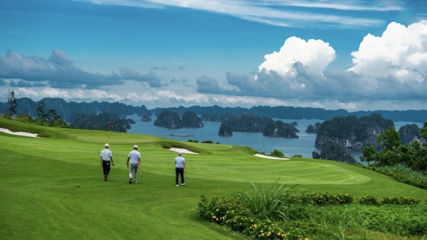 Vietnam emerges as preferred destination for Dubai investors